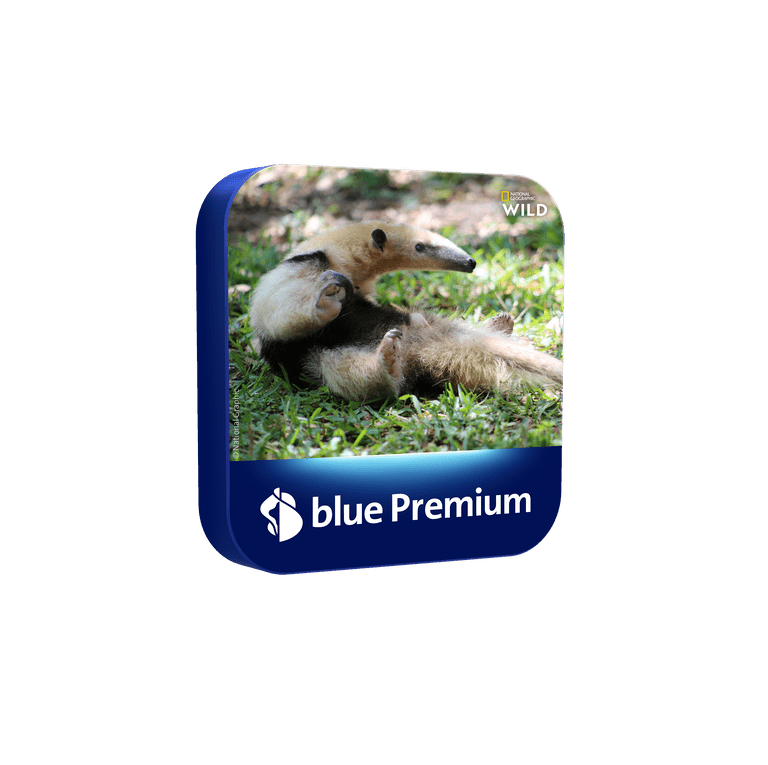 blue premium